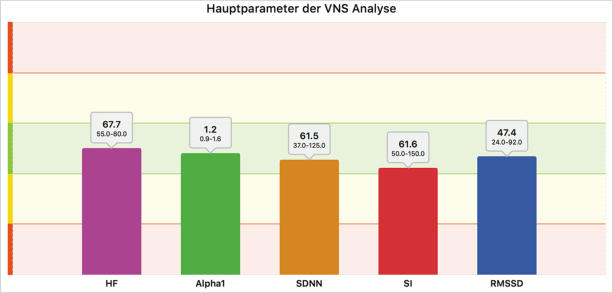 VNS-Analyse Hauptparameter
